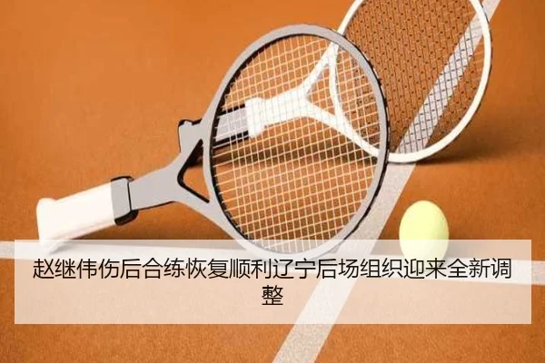 赵继伟伤后合练恢复顺利辽宁后场组织迎来全新调整